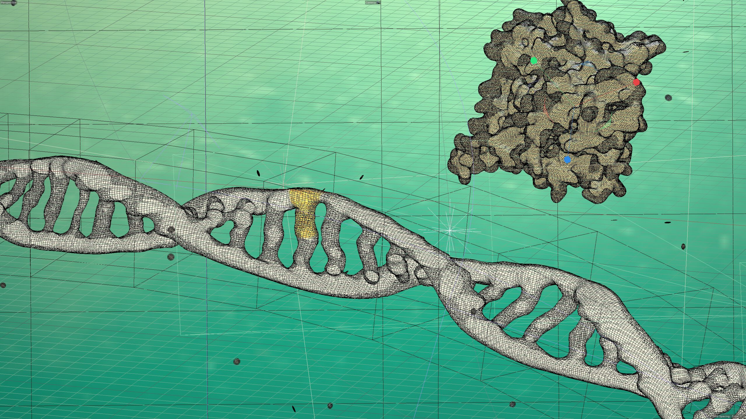creation process dna creation process dna
