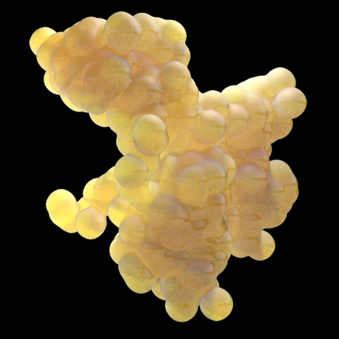creation process enzyme creation process enzyme