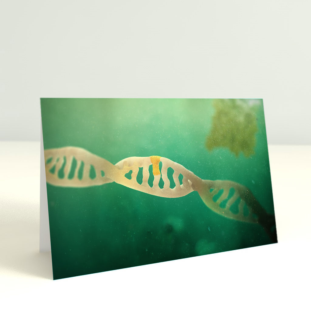 Greeting card 'restored DNA'