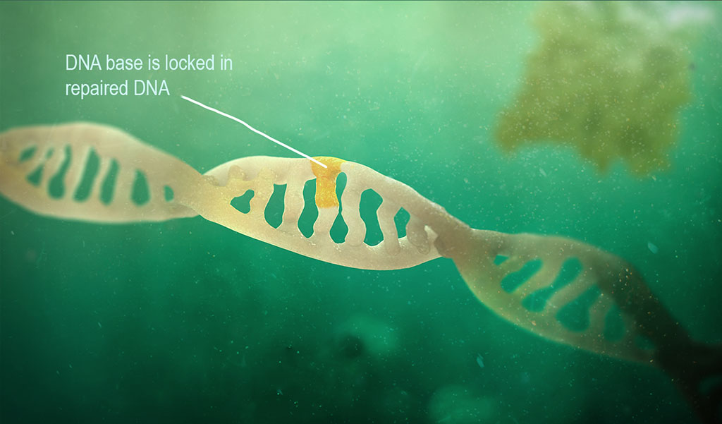 Restored DNA, slide 3